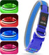 BSEEN Light Up Dog Collar, Rechargeable LED, Adjustable Reflective Dog Lights for Night Walking