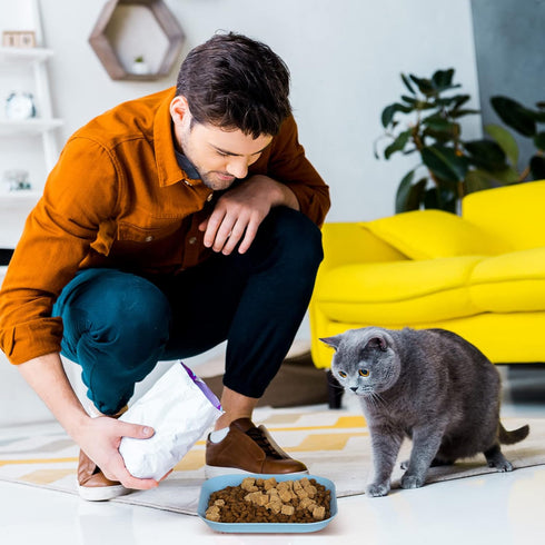 Whisker Fatigue Relief Cat Bowl, 6 Inch Shallow Dish for Cat Wet Feeding, Small Pet Plate for Kittens and Short Legged