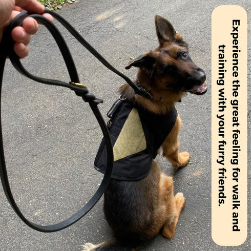 Leather Dog Leash, Heavy Duty Genuine Braided Training Leash, Soft Comfortable for Large Medium Small Dogs, Brown