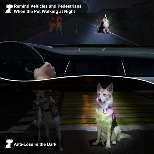 Dog Collar Light, 4 Modes for Night Walking, Rechargeable Clip On Dog Lights, IP68 Waterproof