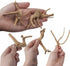 8 Pack Natural Driftwood for Aquarium | Spider Wood Freshwater Fish Tank Reptile Driftwood Branch