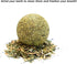 happylain 2 inches Diameter Catnip Ball - Catnip Balls for Cats, Interactive Cat Toy for Indoor Cats, Cat Nip Licking