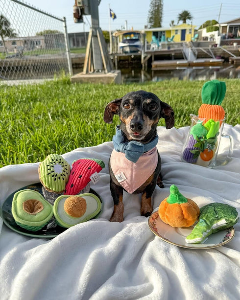 Pack- Nocciola Squeaky Fruits Veggies Stuffed Dog Toys Hide Seek Grocery Basket Crinkle Plush Puppy Toys to Keep Busy