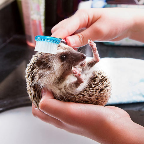 Mudder 3 Pcs Hedgehog Small Animal Grooming Kit – Includes Bathing Brush and Nail Clipper with Magnifier