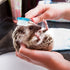 Mudder 3 Pcs Hedgehog Small Animal Grooming Kit – Includes Bathing Brush and Nail Clipper with Magnifier