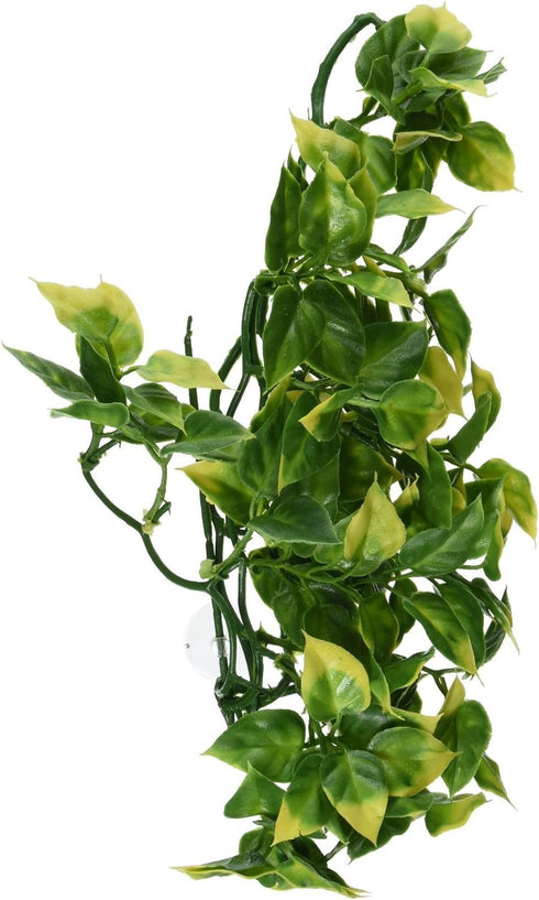 Exo Terra Medium Plastic Terrarium Plant, Amapallo