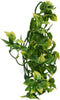 Exo Terra Medium Plastic Terrarium Plant, Amapallo