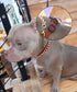 Gold Chain Dog Collar, 15mm Cute Pet Necklace for Bulldog, Light Metal Puppy Jewelry 20" Chain Costume