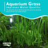 6 Pack Jungle Valisnaria Spiralis - Bare Root : Live Aquarium Plants for Healthy Aquatic Ecosystems, Excellent