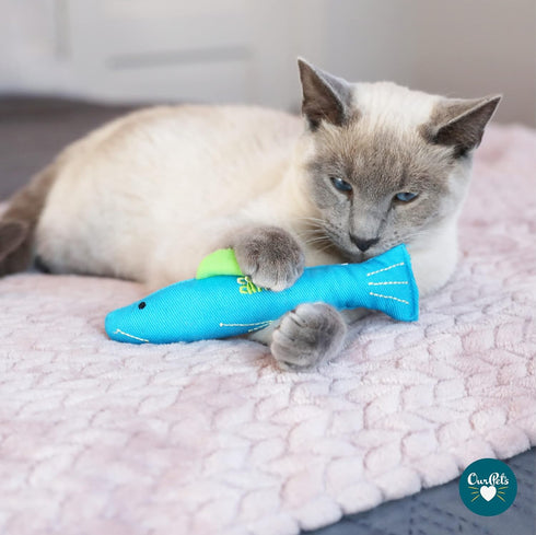 OurPets 100% North American Catnip Filled Fish Cat Toy, Interactive Chew Toy, Annette