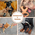 Dog Chew Toys for Aggressive Chewers, Sturdy Bones for Large, Medium, Small Breeds, Tough Dog Toys for Puppies
