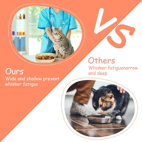 Cat Food Bowl Set - 6 Inch Wide Shallow Dish for Whisker Fatigue Relief, 4Pcs for Cats and Small Dogs