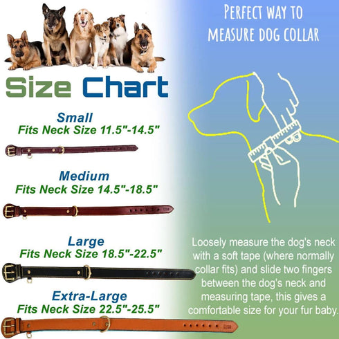 Genuine Leather Dog Collar - Full Grain, Heavy Duty, Comfortable, Padded for Pups, Small, Medium, Large & XL Breeds