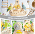 BShasrlim 2 1 in Interactive Bird Toys,Nature Wooden Swing Parrot Toys with Spinner Rattle Bell, Cockatiel Toy Bird