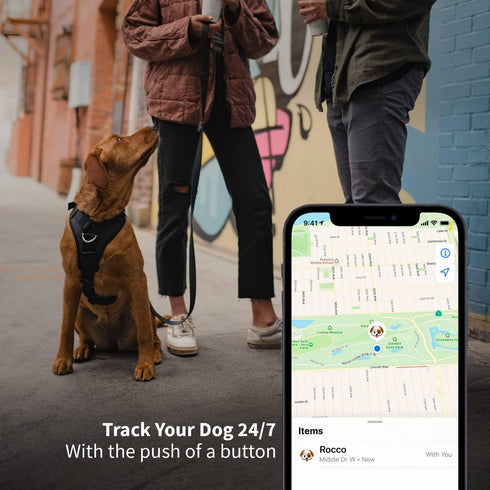SÄKER IP68 Waterproof Airtag Dog Collar Holder, Ultra-Durable and Dustproof, Fits Up to 1.5" Collars, Montreal Design
