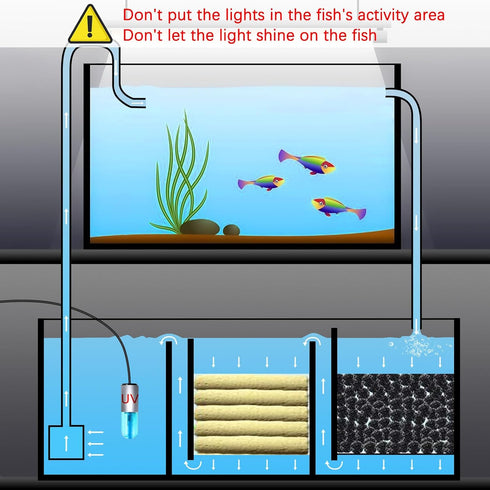 TAISHAN 3W Mini Aquarium Algae Removal Light with Timer, Waterproof Green Clear Light for Fish Tank, Pond & Pool
