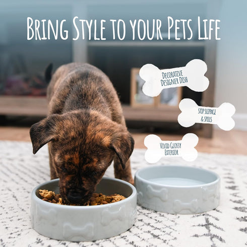 Park Life Designs Large Ceramic Dog Bowl - Durable, Easy-Clean & Dishwasher-Safe for Food & Water, Stylish Gray Dish