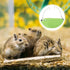 Hammock 2pcs Hammock Toyvian Hamster Hanging Bed and Warm Cotton with Hooks, Banana-Shaped Hanging Nest for Small Pets