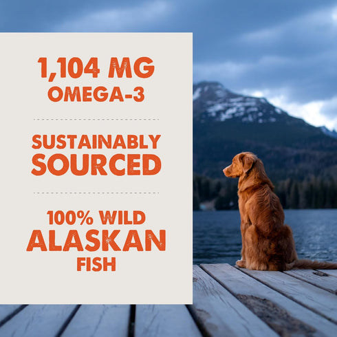 Grizzly Wild Alaskan Salmon Oil, 16 oz Dog Food Supplement with Omega 3 Fatty Acids