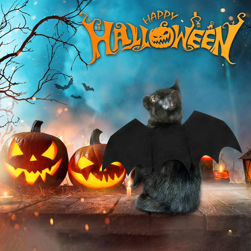 Malier Halloween Cat Costume - Pet Bat Wings for Cats and Dogs