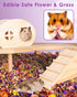 Bissap Natural Flower & Herb Hamster Bedding 300g/10.5oz, Small Animal Habitat Decor for Hamster, Gerbil, Chinchilla