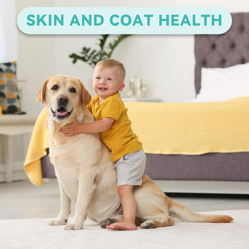 Omega-3 Multivitamin Skin and Coat Supplement for Dogs, Omega 3 Fish Oil Supplement, Supports Shedding and Immunity