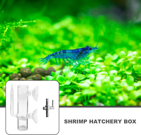1set Mikikit Glass Shrimp Incubator Box Neocaridina Shrimp Brooder for Dream Live