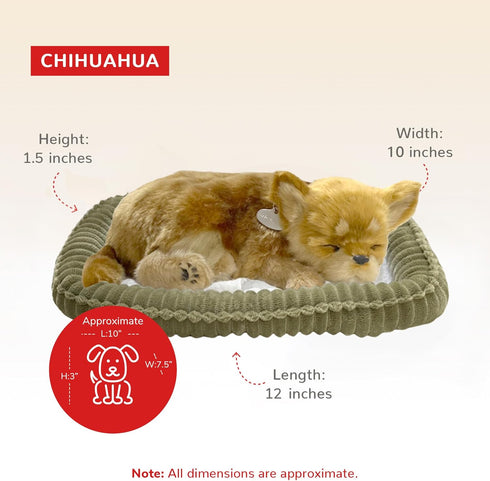 Original Petzzz Chihuahua Dog Toys for Kids and Elderly, Realistic Battery-Operated Stuffed Animal