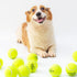 Dog Tennis Balls - 12 Pack Squeaky Interactive Toys for Training, Indoor Outdoor Play, 2.5" Rubber Balls for All Sizes