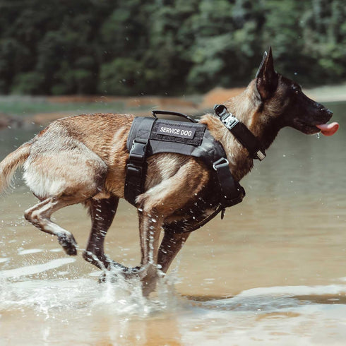EXCELLENT ELITE SPANKER Tactical Dog Harness Vest, Adjustable No Pull Harness for Small Medium Large Dogs
