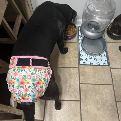 (3 Pack) Leekalos Reusable Washable Dog Diapers Female - Highly Absorbent Doggie Diapers - Size Adjustable Puppy