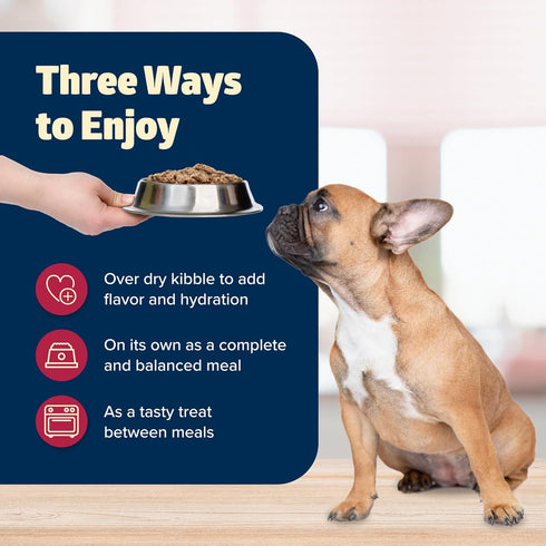 12.5-oz. (12 Count) Blue Buffalo Freedom Grain-Free Wet Dog Food, Free of Glutens & Artificial Preservatives, Made