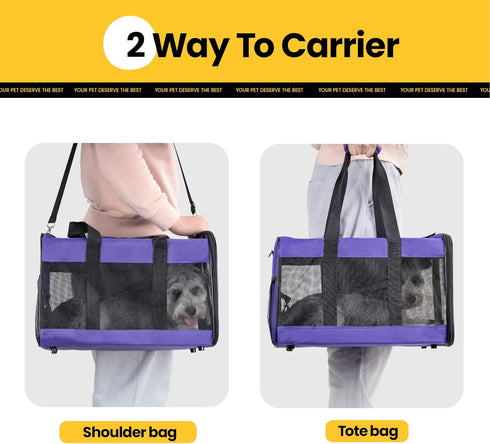 Soft-Sided Cat Carrier, Airline Approved Dog Carrier with Inner Safety Leash for Small-Medium Pets (Purple M)