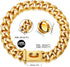 Gold Dog Chain Collar, Heavy Duty 18K Cuban Link with Secure Buckle for Large Dogs (19MM, 26")