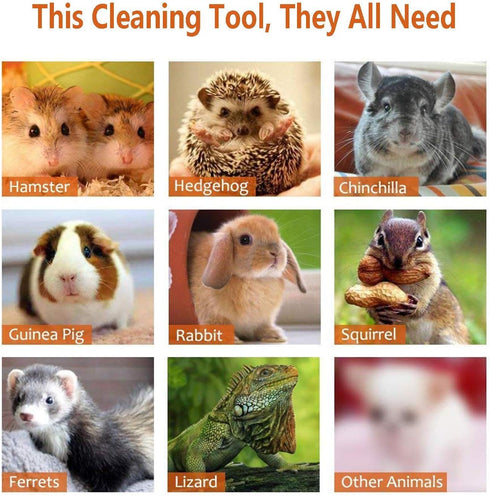 Cage Cleaner for Guinea Pigs, Rypet, Mini Dustpan and Brush Set Cleaning Tool for Small Animals (1 Pack)