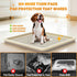 22 22 Inches Dog Pee Pad Holder for Small and Medium Dogs, Two-Layer Mesh Dog Potty Tray, Indoor Puppy Pad Holder