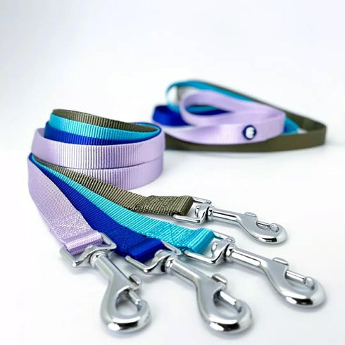 Blueberry Pet Essentials Very Berry Dog Leash for Large Dogs, 4' * 1" Heavy Duty Nylon Lead