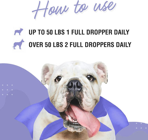 Premium DMG for Dogs - Liquid to Support Immune Health, Skin, Stamina, Muscles & Performance - 4oz