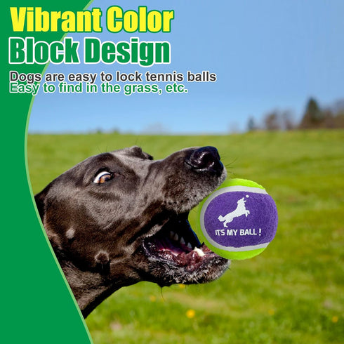 EXPAWLORER Squeaky Tennis Balls for Dogs, 12 Pack High Elastic Durable Balls for Aggressive Chewers