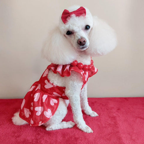 Fitwarm Valentines Day Sweet Heart Dog Dress, Holiday Outfit for Small Dogs Girl, Pet Cat Apparel, Red, Pink, Small