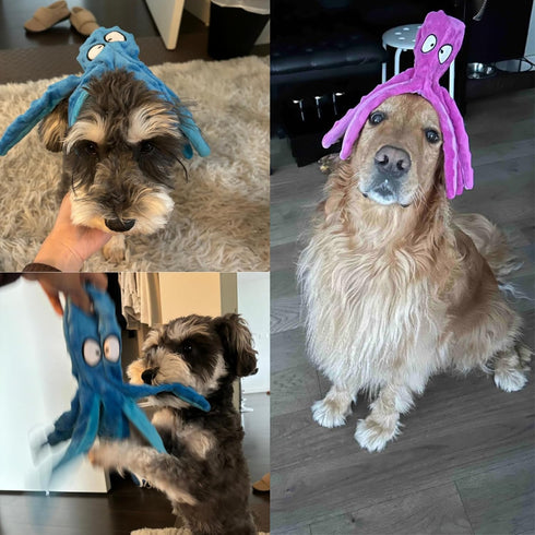 HGB Squeaky Dog Toys - Octopus No Stuffing Crinkle Plush Large Dog Toys for Puppy Teething Chewing, 2 Pack