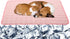 Pet Cooling Mat for Dog Cat, Washable Reusable Ice Silk Self Cooling Pad, Pet Sleeping Blanket for Beds and Couches