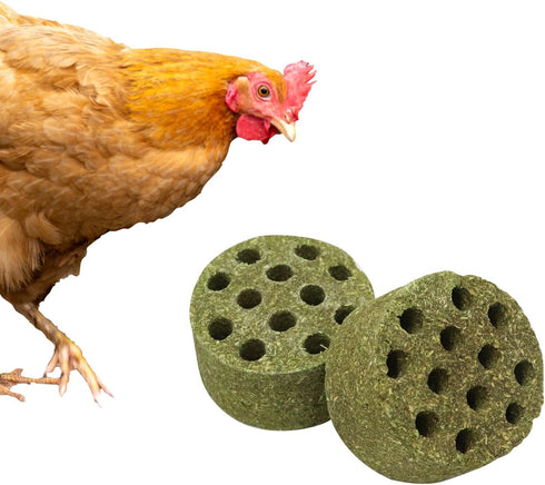 BingegePet 2 Pack Chicken Beak Timothy Grass Block, Chicken Toys for Coop, Enrichment
