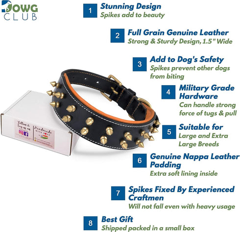 Genuine Leather Spike Dog Collar | Full Grain, Heavy Duty for Medium, Large, XL Breeds (1.75" Wide, Black)