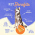 Himalayan Dog Chew Premium Yak Cheese, 5 XL/Large Treats, 3.3 oz, All Natural, Long Lasting Chews for Dogs Under 65 lbs