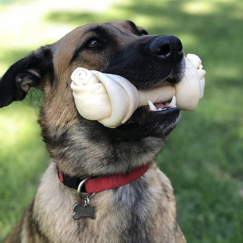 Pet Factory 100% USA Beefhide Knotted Bones Dog Chew Treats - 4" Natural Flavor, 24 Count/1 Pack