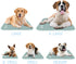 The Green Pet Shop Cool Pet Pad, Extra Small Sage Grey, Self-Cooling Mat for Dogs & Cats up to 8 lbs