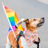 Rainbow Dog Bandanas Pride Day Dog Bandana Reversible Triangle LGBT+ Rainbow Bandanas for Medium Large Dogs Pets (Pride, Large)