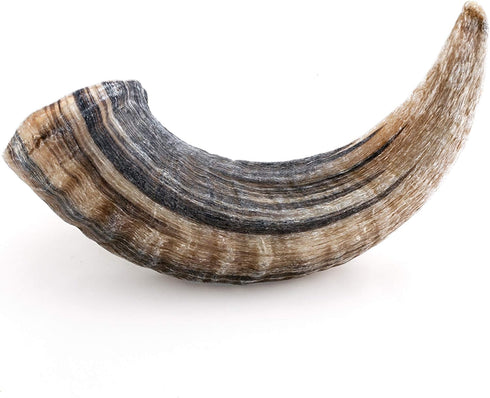 Icelandic+ Lamb Horn, Large 7" Dog Chew - Long-Lasting Crunchy Treat for Medium & Large Dogs