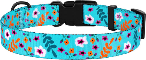 Nylon Dog Collar Floral Pattern Aquamarine, 12-16 Inch